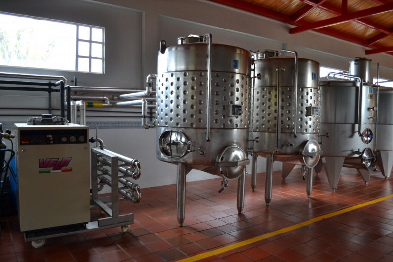 cave-DRAP-min_wine_production_cantine_winery_drink_alcohol_vine_beverage-902036